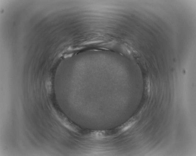 X0000081570080200701291225