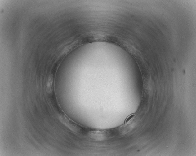 X0000081570082200701291225