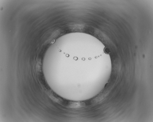 X0000081570083200701291225