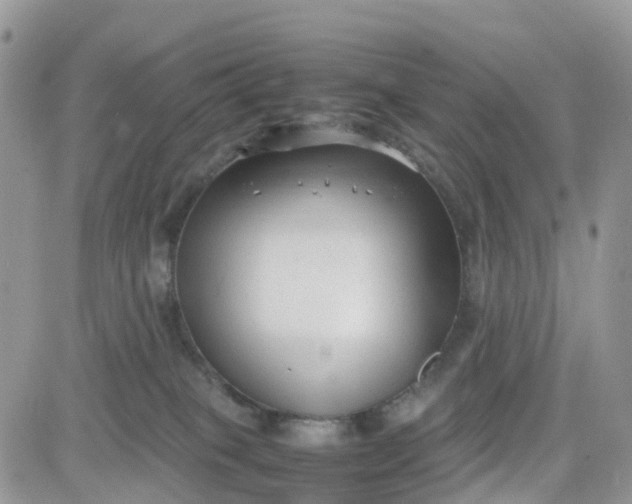 X0000081570085200701291225