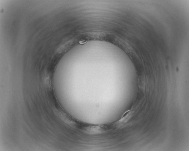 X0000081570086200701291225