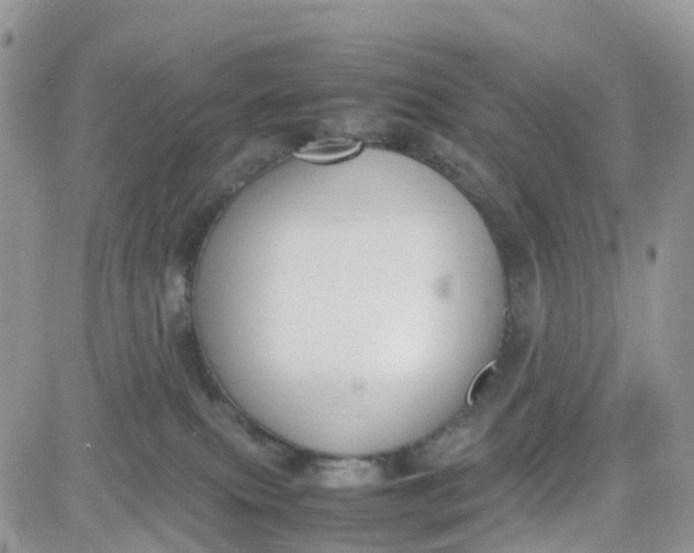 X0000081570087200701291225