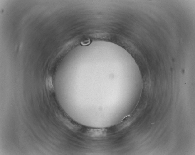 X0000081570089200701291226