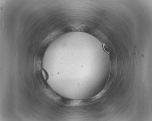 X0000081570090200701291226