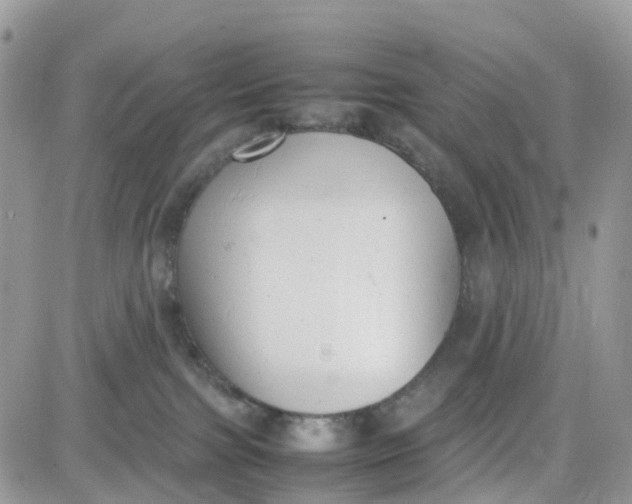 X0000081570091200701291226