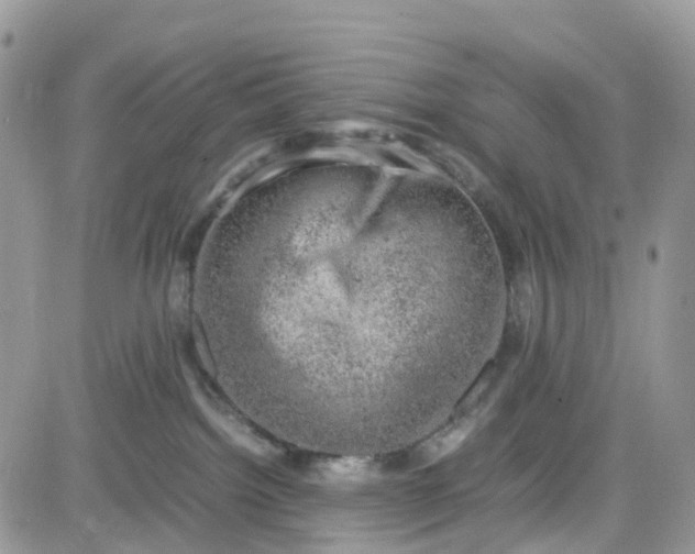 X0000081570092200701291226