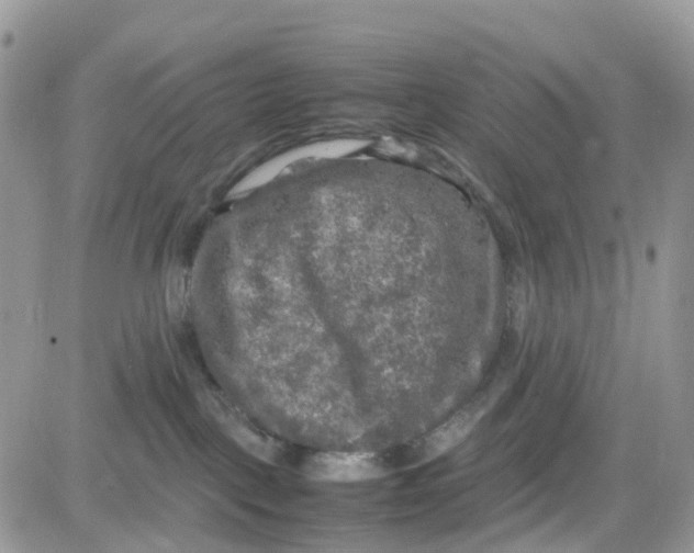 X0000081570093200701291226