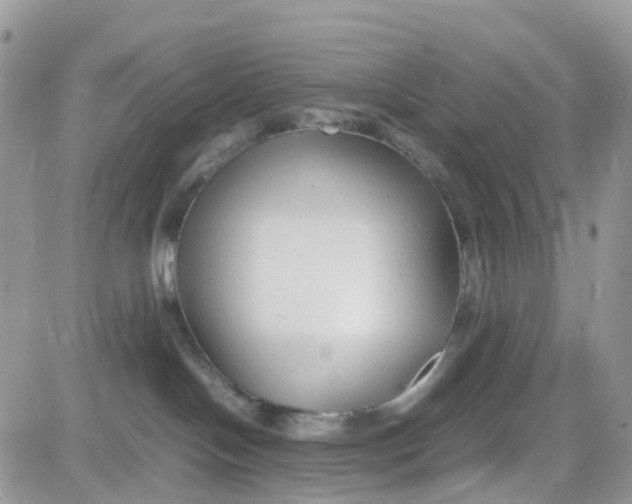 X0000081570094200701291226