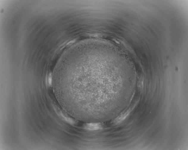 X0000081570095200701291226