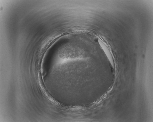 X0000081570097200701291225