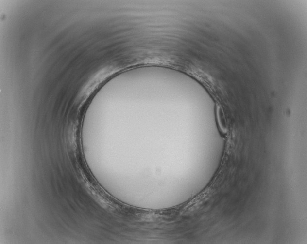 X0000081570098200701291225