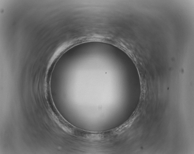 X0000081570102200701291225