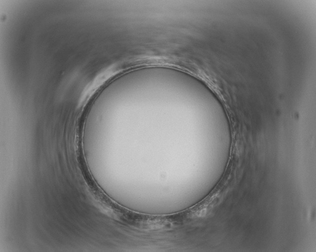 X0000081570103200701291225