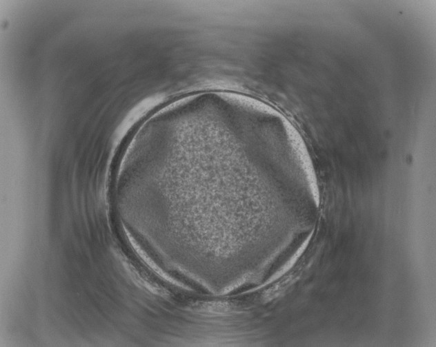 X0000081570104200701291225