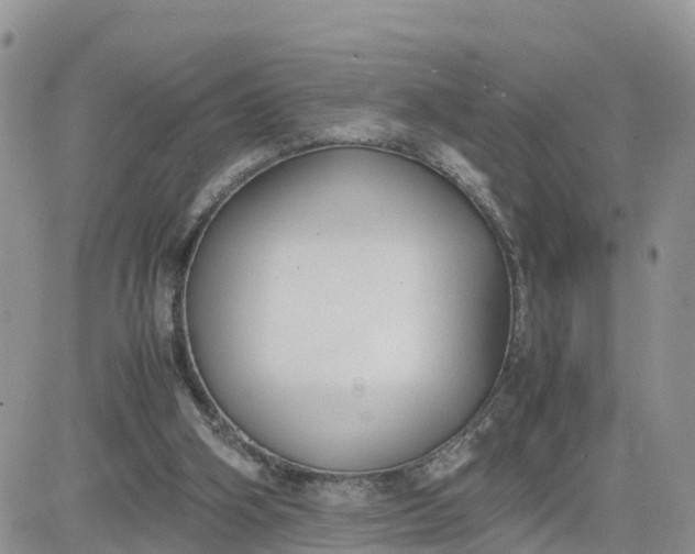 X0000081570106200701291225