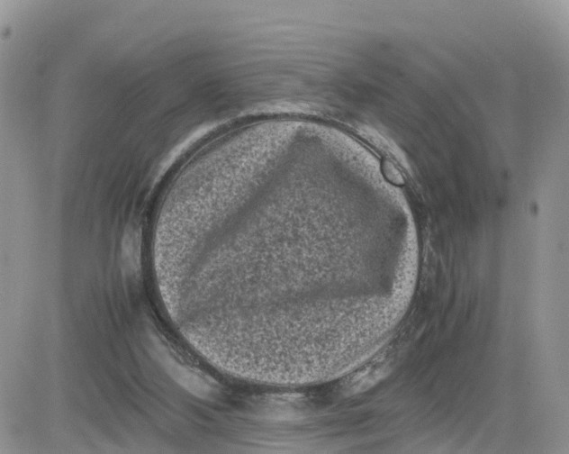 X0000081570108200701291225