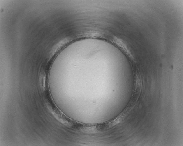 X0000081570110200701291225