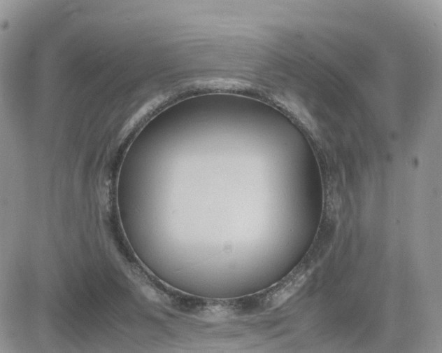 X0000081570111200701291225