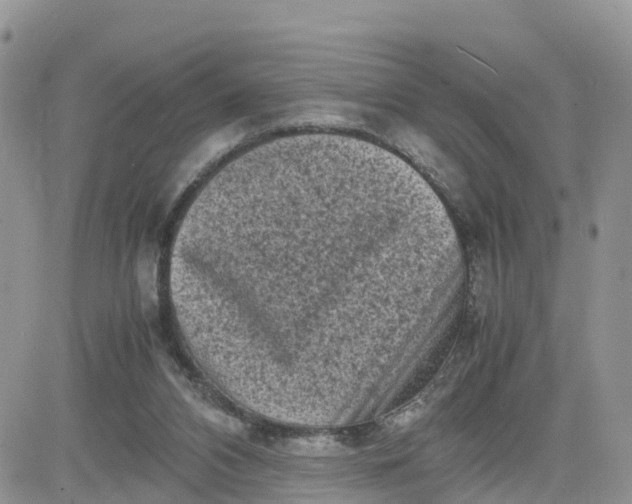 X0000081570112200701291225