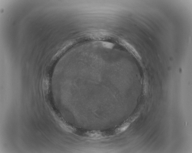 X0000081570113200701291225