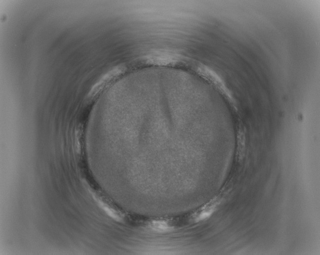 X0000081570114200701291225