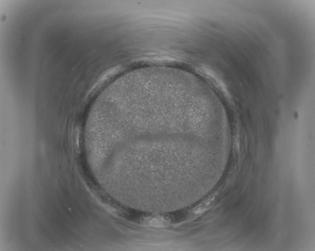 X0000081570115200701291225