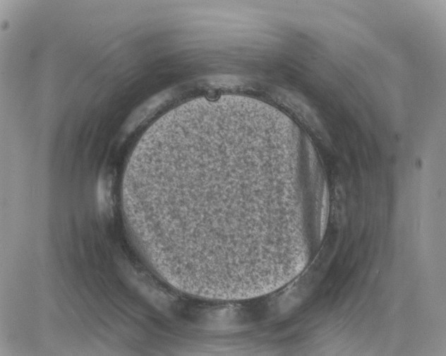 X0000081570116200701291225