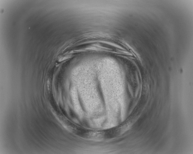 X0000081570117200701291225