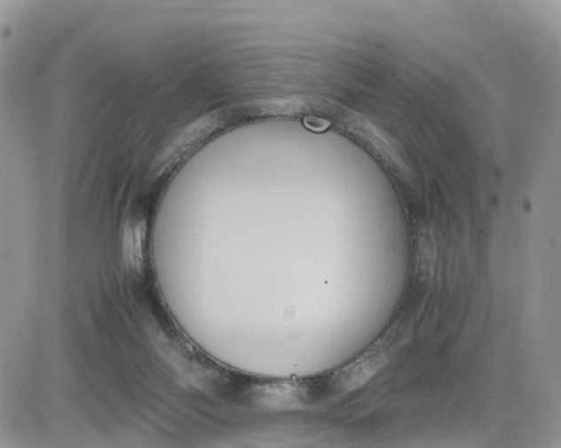 X0000081570118200701291224