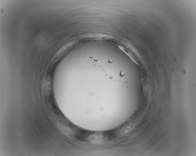 X0000081570119200701291224