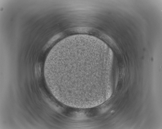 X0000081570120200701291224