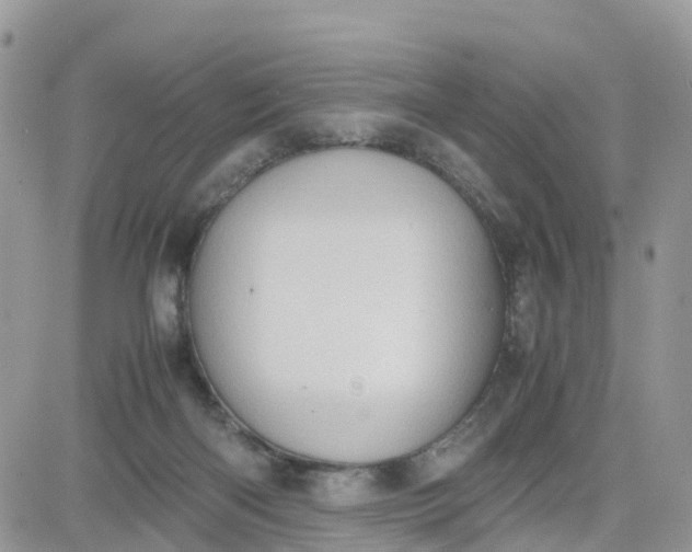 X0000081570122200701291224