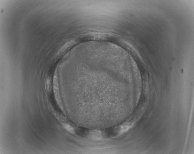 X0000081570123200701291224