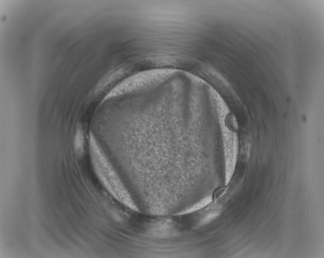 X0000081570124200701291224