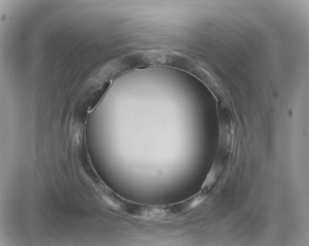 X0000081570125200701291224