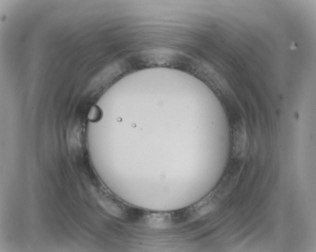 X0000081570126200701291224