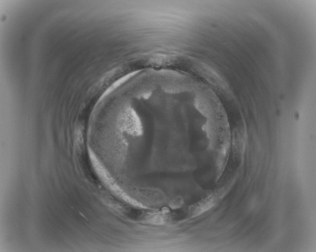 X0000081570127200701291224