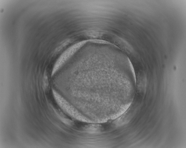 X0000081570128200701291224