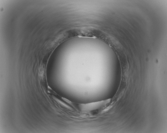 X0000081570129200701291224