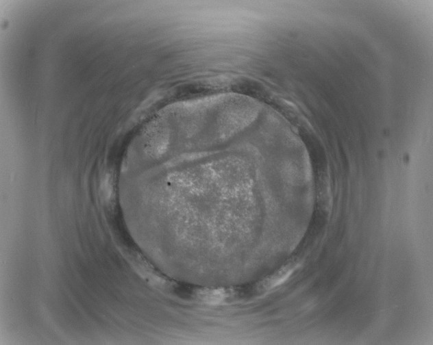 X0000081570131200701291224