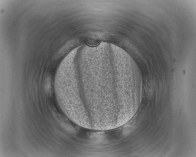 X0000081570132200701291224