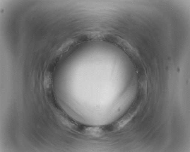 X0000081570133200701291224