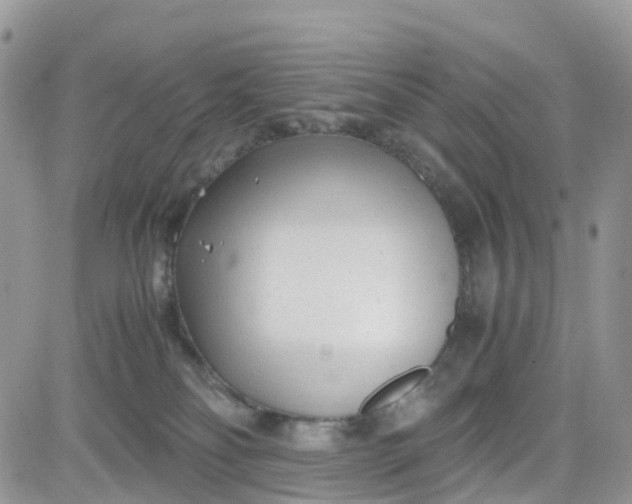 X0000081570134200701291224