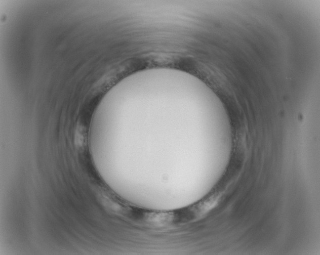 X0000081570135200701291224