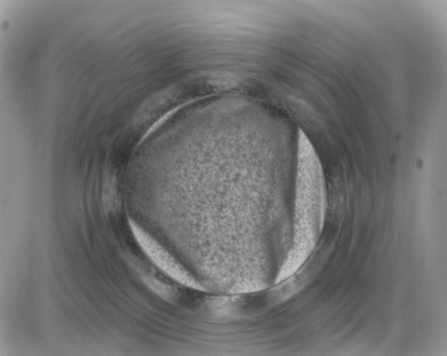 X0000081570136200701291224