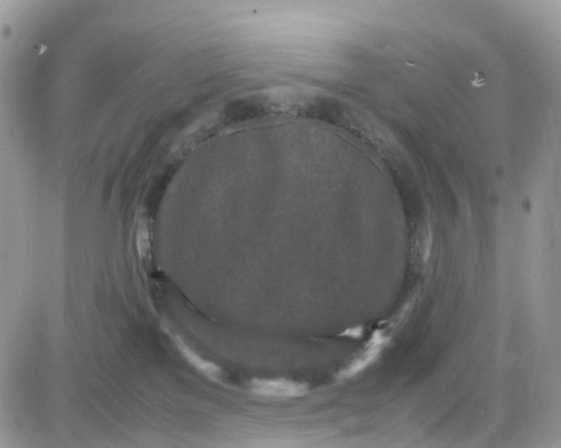 X0000081570137200701291224