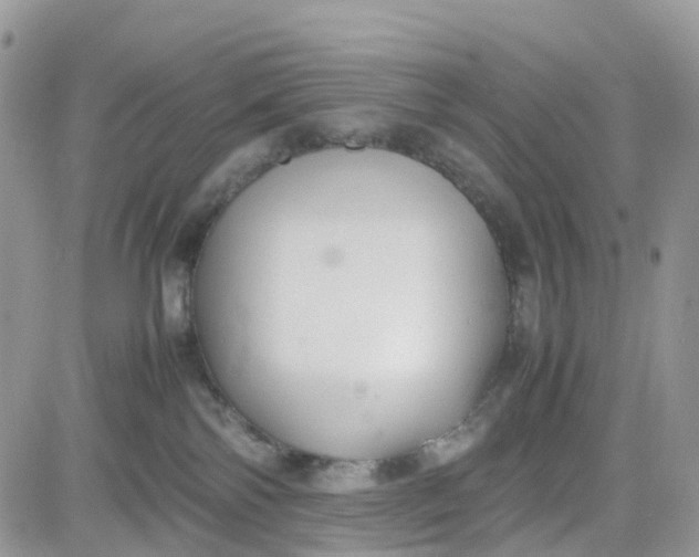 X0000081570138200701291224