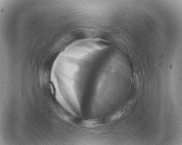 X0000081570139200701291224