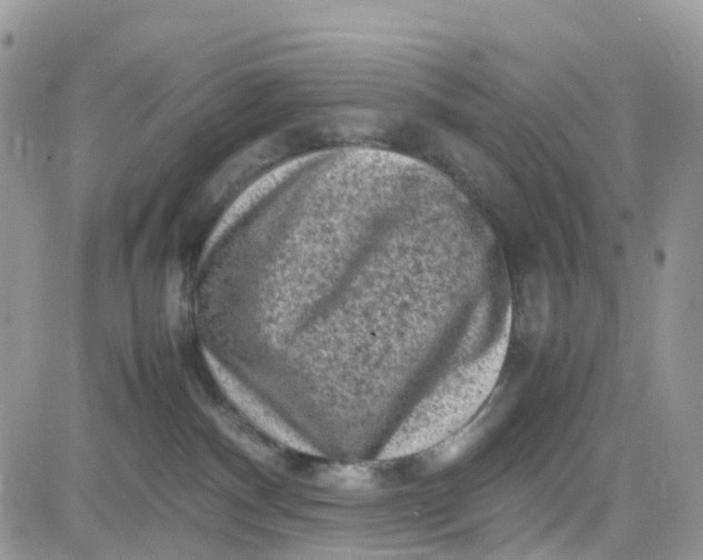 X0000081570140200701291224