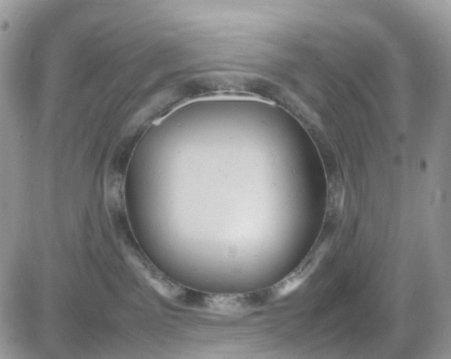 X0000081570141200701291224